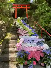 柳谷観音　楊谷寺の御朱印