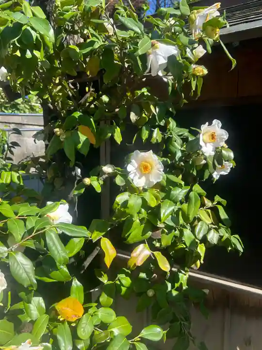 五條天神社(東京都)