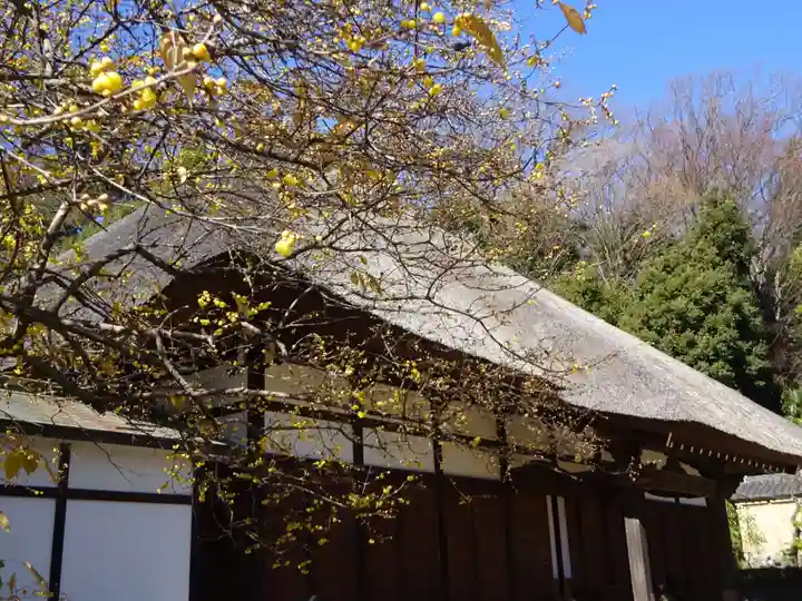 横浜 西方寺の本殿・本堂