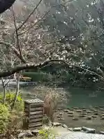 熱田神宮の{uncategorized: "未分類", other: "その他", undefined: "問題あり", building: "その他建物", grave: "お墓", sacred_gate: "鳥居", guardian: "狛犬", statue: "像", buddha: "仏像", history: "歴史", nature: "自然", garden: "庭園", animal: "動物", pagoda: "塔", temizu: "手水舎", mountain_gate: "山門・神門", sanctuary: "本殿・本堂", subordinate: "末社・摂社", art: "芸術", scenery: "景色", jizo: "地蔵", ema: "絵馬", goshuin: "御朱印", omikuji: "おみくじ", items: "授与品その他", amulet: "お守り", goshuincho: "御朱印帳", eats: "食事", festival: "お祭り", votive_dance: "神楽", shichigosan: "七五三参", wedding: "結婚式", experience: "体験その他", initially: "初詣", around: "周辺", anti_infection: "感染症対策"}