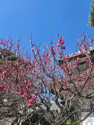 東光院の{uncategorized: "未分類", other: "その他", undefined: "問題あり", building: "その他建物", grave: "お墓", sacred_gate: "鳥居", guardian: "狛犬", statue: "像", buddha: "仏像", history: "歴史", nature: "自然", garden: "庭園", animal: "動物", pagoda: "塔", temizu: "手水舎", mountain_gate: "山門・神門", sanctuary: "本殿・本堂", subordinate: "末社・摂社", art: "芸術", scenery: "景色", jizo: "地蔵", ema: "絵馬", goshuin: "御朱印", omikuji: "おみくじ", items: "授与品その他", amulet: "お守り", goshuincho: "御朱印帳", eats: "食事", festival: "お祭り", votive_dance: "神楽", shichigosan: "七五三参", wedding: "結婚式", experience: "体験その他", initially: "初詣", around: "周辺", anti_infection: "感染症対策"}