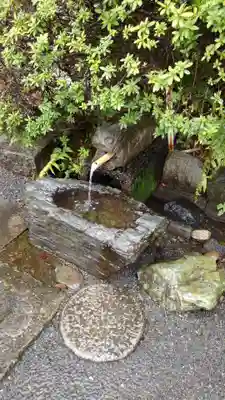 貫井神社の手水舎