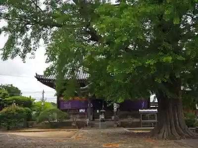地蔵寺の本殿・本堂