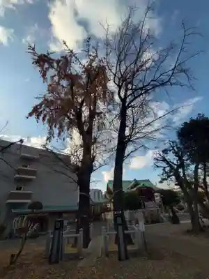 千住神社(東京都)