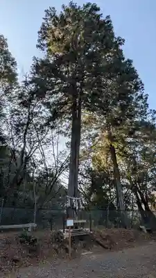 上津神社(滋賀県)