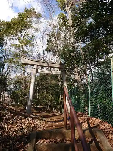 日枝神社の鳥居