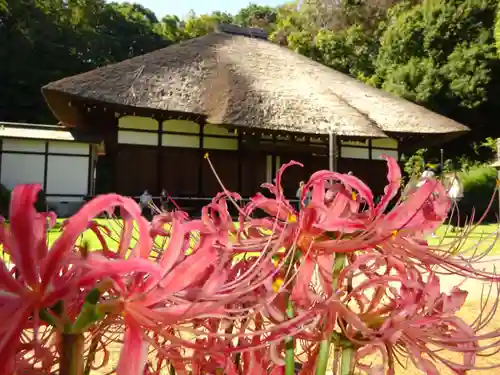 横浜　西方寺の本殿・本堂