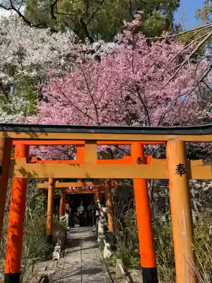 平野神社の{uncategorized: "未分類", other: "その他", undefined: "問題あり", building: "その他建物", grave: "お墓", sacred_gate: "鳥居", guardian: "狛犬", statue: "像", buddha: "仏像", history: "歴史", nature: "自然", garden: "庭園", animal: "動物", pagoda: "塔", temizu: "手水舎", mountain_gate: "山門・神門", sanctuary: "本殿・本堂", subordinate: "末社・摂社", art: "芸術", scenery: "景色", jizo: "地蔵", ema: "絵馬", goshuin: "御朱印", omikuji: "おみくじ", items: "授与品その他", amulet: "お守り", goshuincho: "御朱印帳", eats: "食事", festival: "お祭り", votive_dance: "神楽", shichigosan: "七五三参", wedding: "結婚式", experience: "体験その他", initially: "初詣", around: "周辺", anti_infection: "感染症対策"}