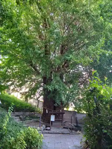 堤治神社(愛知県)