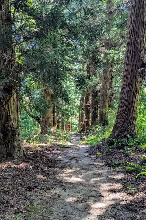 愛宕神社の自然