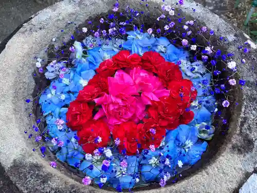 真言宗　善通寺派　薬王寺(香川県)