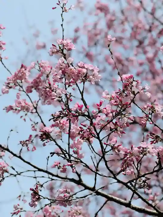 光明寺(静岡県)