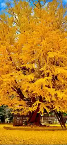 西蓮寺(茨城県)