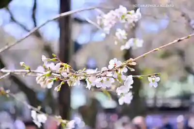 靖國神社(東京都)