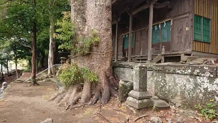 八幡神社の自然