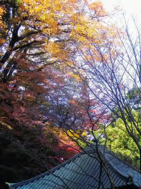 安國論寺(安国論寺)の自然