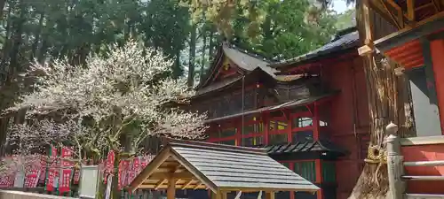 北口本宮冨士浅間神社の本殿・本堂