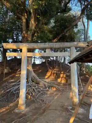 浅間神社(千葉県)