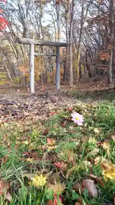 小澤神社(北海道)