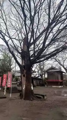 新町諏訪神社(群馬県)