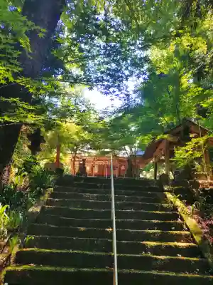 鷲峯神社(鳥取県)