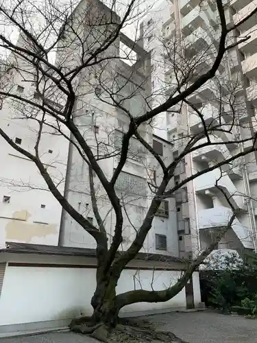 御津八幡宮(大阪府)