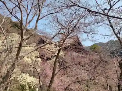 長谷寺(奈良県)