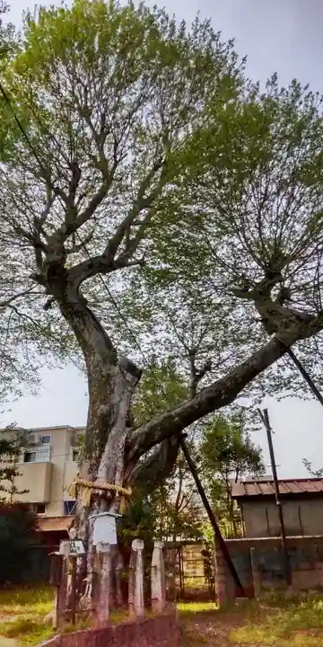 宇賀神社(京都府)