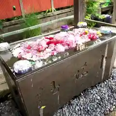 前玉神社の手水