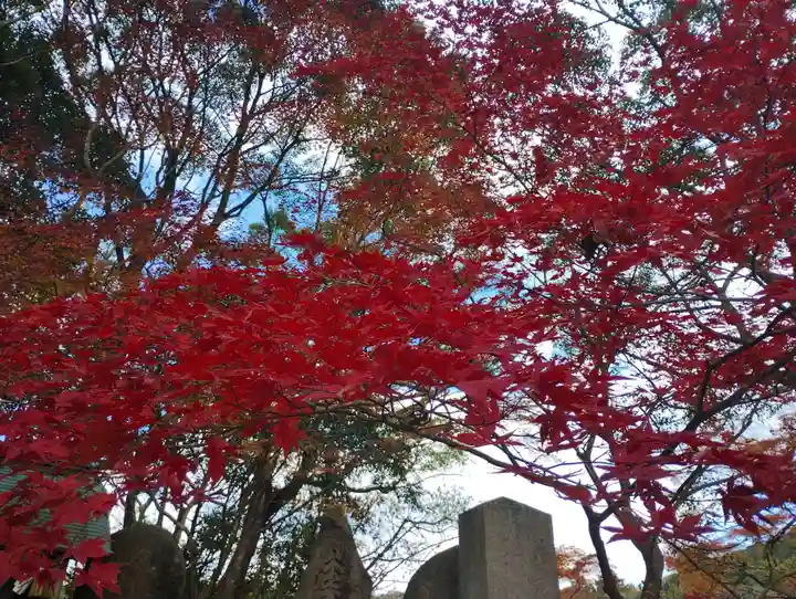 式部稲荷社(福岡県)