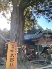 北口本宮冨士浅間神社の自然