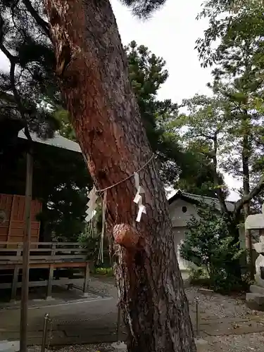 香久山神社の自然