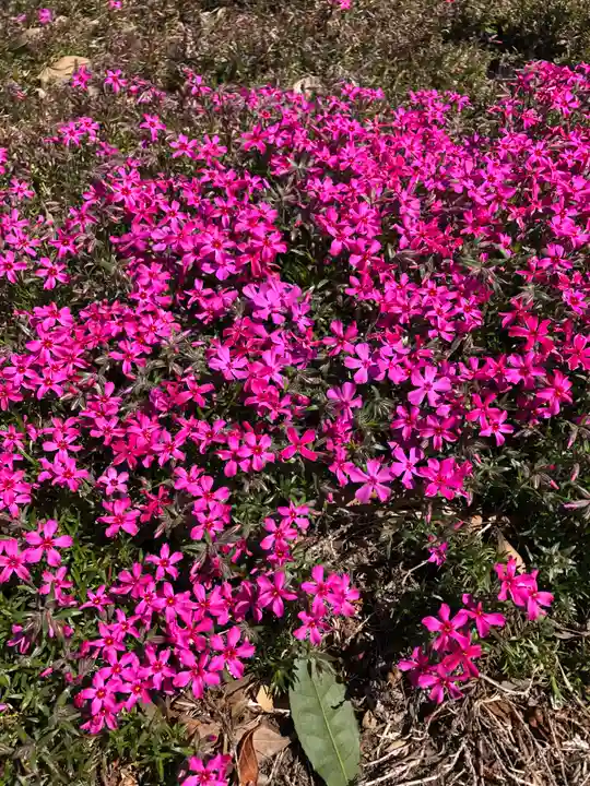 境香取神社の自然
