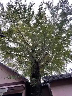 貴船神社の自然