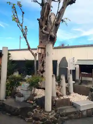 甲斐奈神社(山梨県)