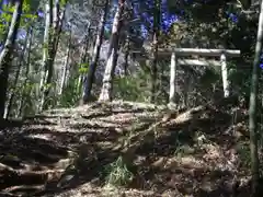 八王子神社の建物その他