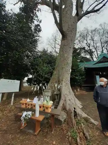 伏木香取神社(茨城県)