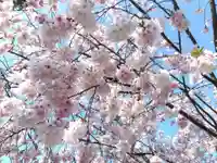 法顕寺(新潟県)