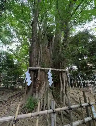 大國魂神社(東京都)