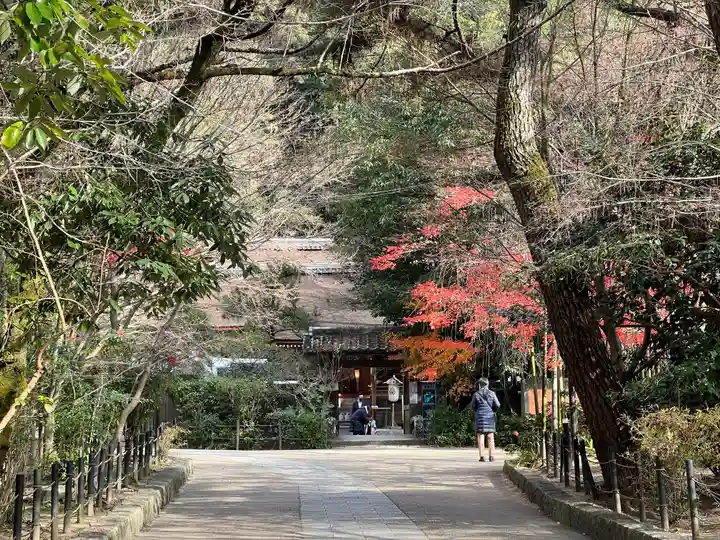 宇治上神社(京都府)