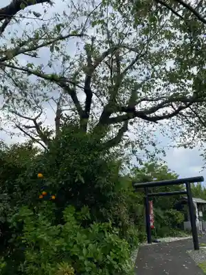 城山富士浅間神社(静岡県)