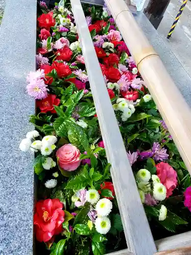 豊景神社の自然