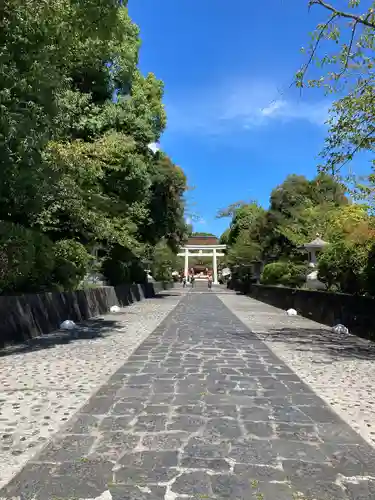 富士山本宮浅間大社の鳥居