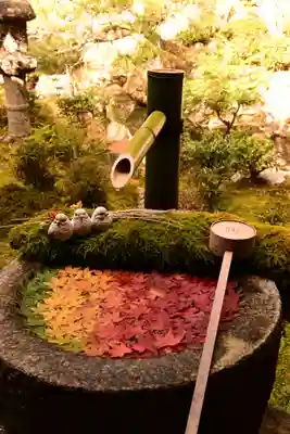 柳谷観音　楊谷寺(京都府)