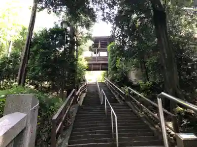 達磨寺(群馬県)