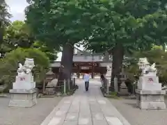 亀ケ池八幡宮(神奈川県)