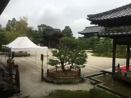 仁和寺の庭園