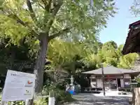 安房高野山妙音院の末社・摂社