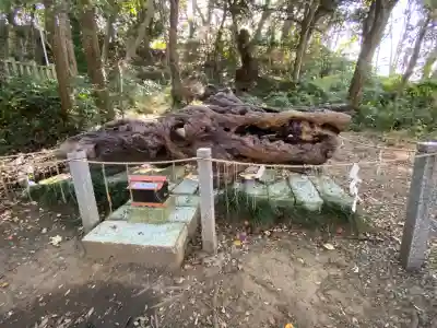 泉神社(茨城県)