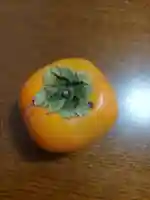 刺田比古神社(和歌山県)